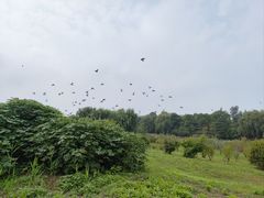 -苏州湾体育公园