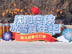-沈阳奥体冰雪嘉年华