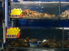 水产区-蚝专家(北滘店)