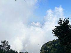 -白草畔自然风景区