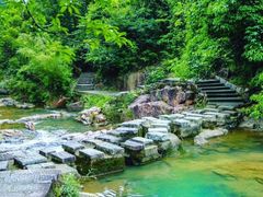 -广州白江湖森林公园