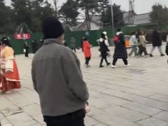 -神州牡丹园