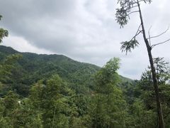 -大围山国家森林公园
