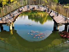 -五缘湾湿地公园