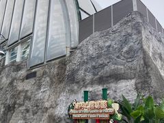 -石排湾郊野公园