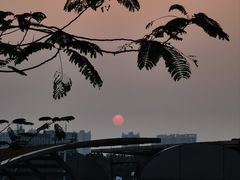 -洲头咀公园