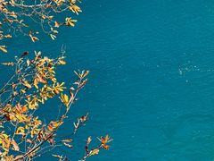 -九寨沟-树正沟