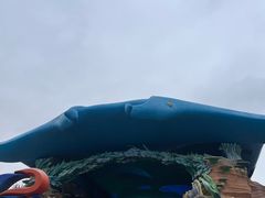-雨林餐厅(长隆海洋王国店)