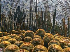 -深圳仙湖植物园