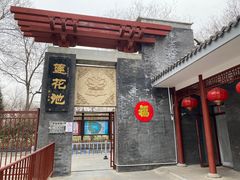 -莲花池公园