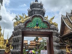 -西双版纳傣族园