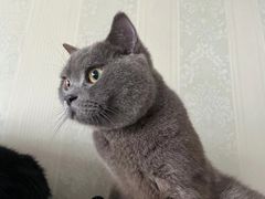 -佳雯宠物医院·皮肤科·内外科(春晓路分院)