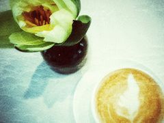 拿铁-蝶舍·MAISON PAPILLON