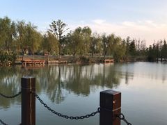 -上海长兴岛郊野公园