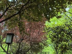 -唐城墙遗址公园