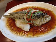 葱油蒸鲈鱼-古南都·老广东酒楼(龙江店)