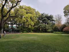 -上海瑞金洲际酒店