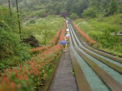 -千岛湖石林