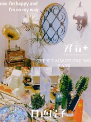 -好看加白色房子
