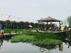 -同銮特种养殖场·龙虾垂钓