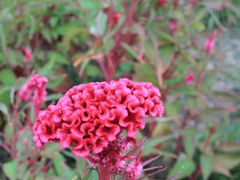 -白塘生态植物园