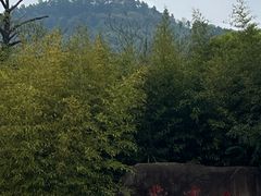 -敬亭山风景名胜区