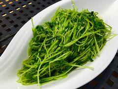 蒜蓉豆苗-梧桐餐厅(泉城路店)