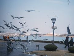 -日照灯塔风景区