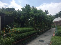 -广州神农草堂中医药博物馆