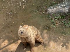 -石家庄市动物园