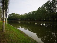 -东郊湿地公园