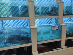 -野渡坡·极致湘菜·庭院餐厅(汉阳店)