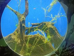-江和美海洋公园
