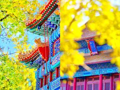 -故宫博物院(故宫)
