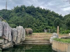 -宁波野生动物园