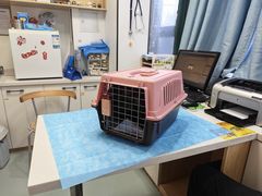 -瑞派·关忠动物医院·猫专科·犬专科(三环新城店)
