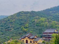 -树山生态村