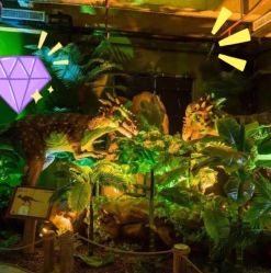 -恐龙探索乐园(磁器口店)