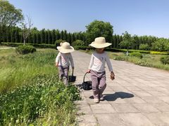 -汉景帝阳陵博物院