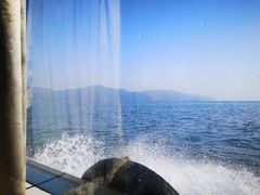 -大鹿岛