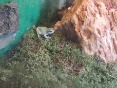 -上海大自然野生昆虫馆