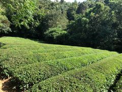 -敬亭山风景名胜区