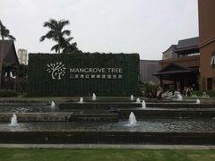 -三亚湾红树林度假世界(木棉酒店)