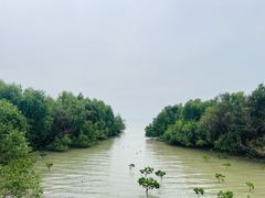 -深圳湾公园(南山区)