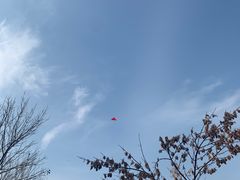 -太阳宫公园