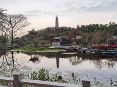 -顺峰山公园