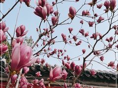 -红螺寺