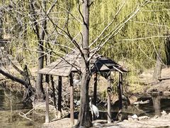 -石家庄市动物园