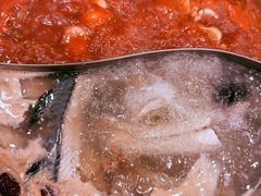 -活鱼馆(宜兴埠店)