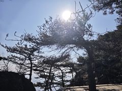 -沂蒙山旅游区龟蒙景区
